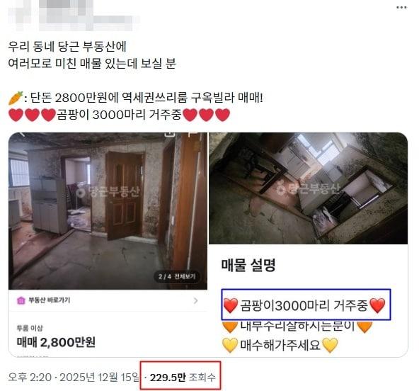 본문 이미지 - X(옛 트위터) 갈무리