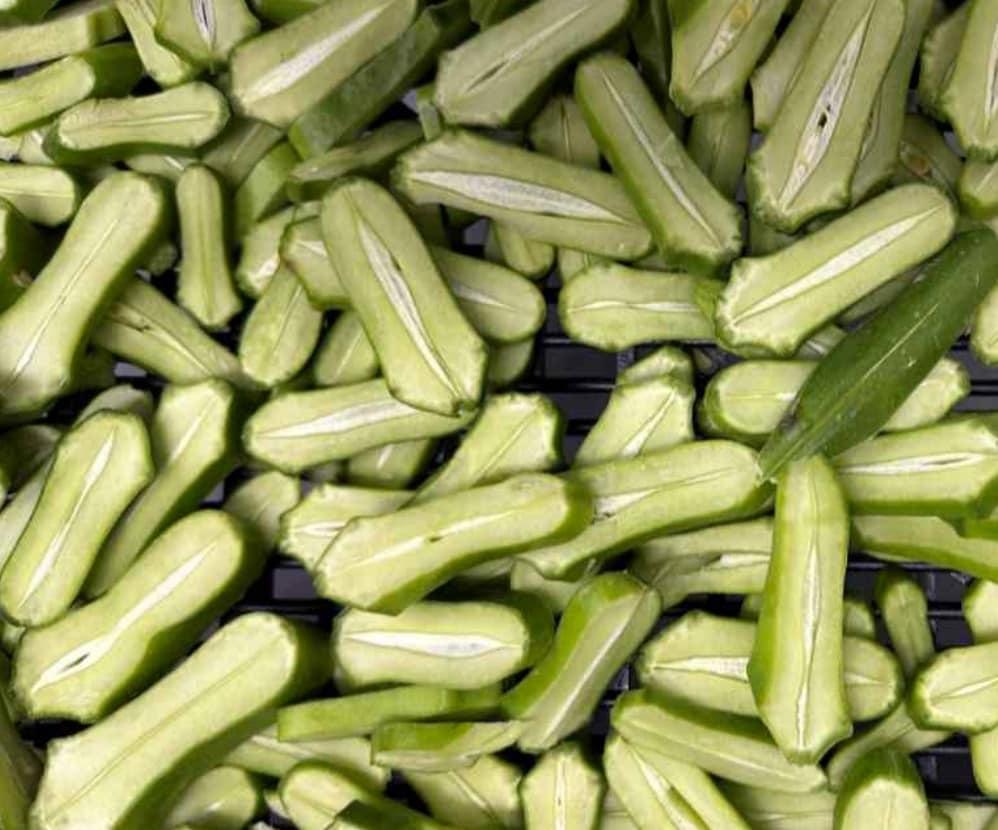 본문 이미지 - 도두꼬투리 이미지(농촌진흥청)