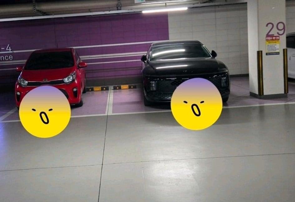 본문 이미지 - 보배드림 갈무리