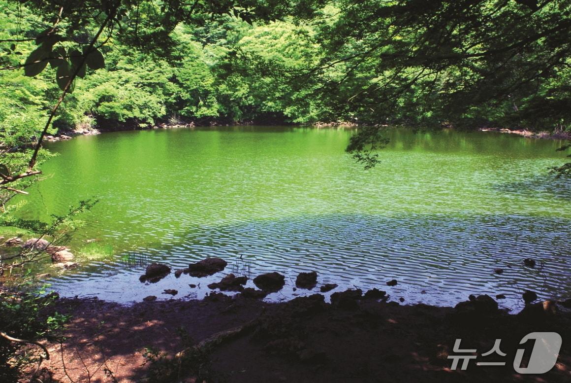 본문 이미지 - 물찻오름(제주관광 포털 사이트 비짓제주 제공. 재판매 및 DB금지)/뉴스1