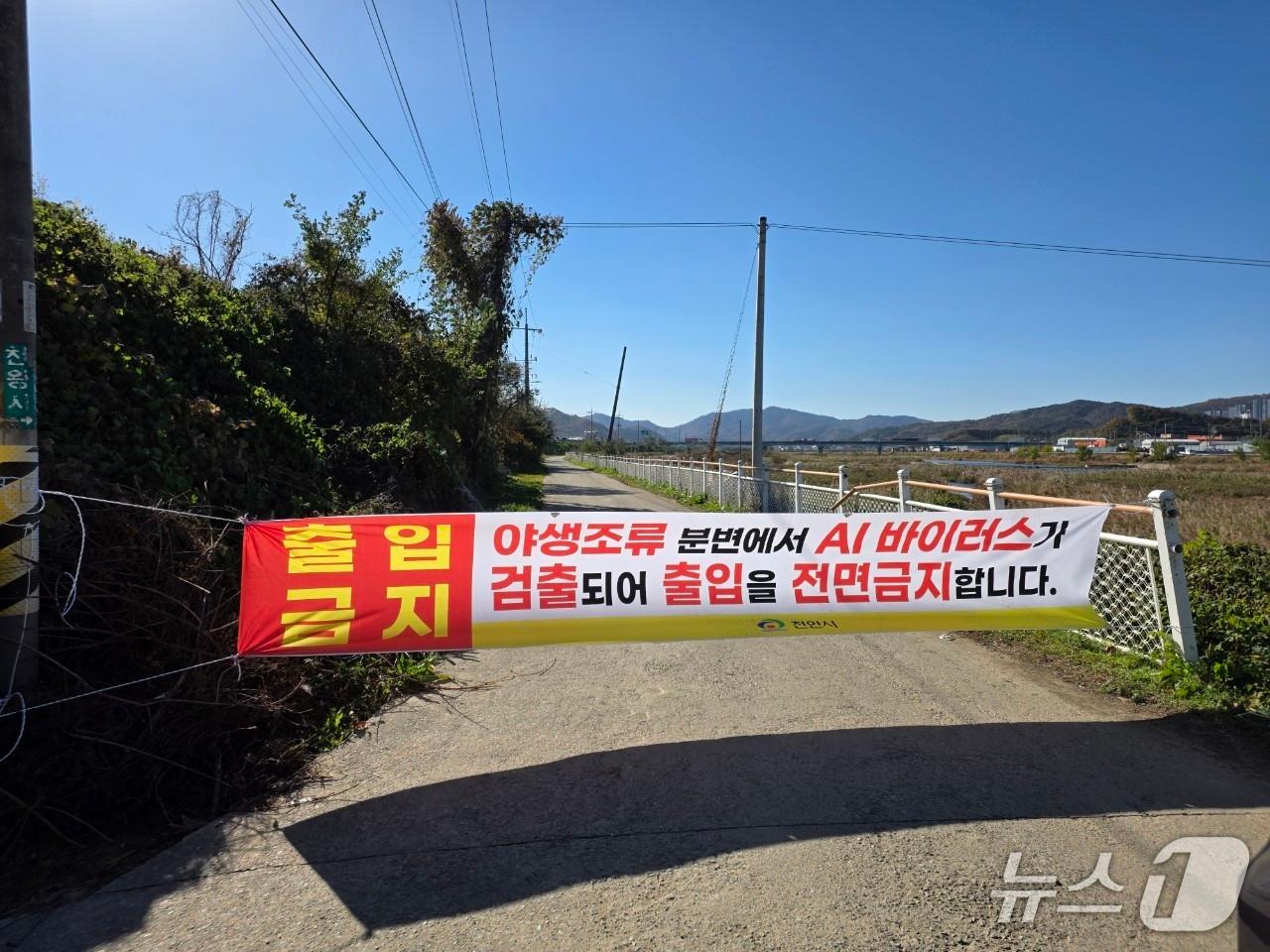 본문 이미지 - 조류인플루엔자 발생으로 출입이 통제된 농장.(천안시청 제공. 재판매 및 DB금지)