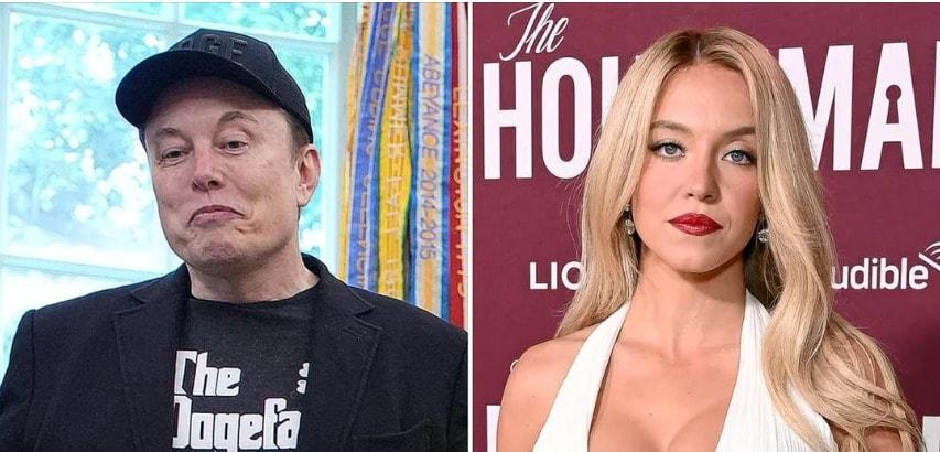 본문 이미지 - (출처=소셜미디어 레딧)