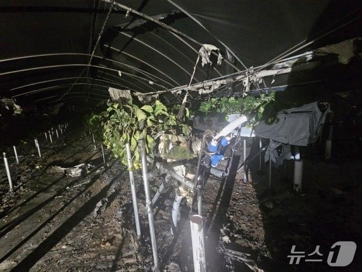 본문 이미지 - 논산 관촉동 딸기 비닐하우스 화재 현장. (논산소방서 제공, 재판매 및 DB금지) / 뉴스1 