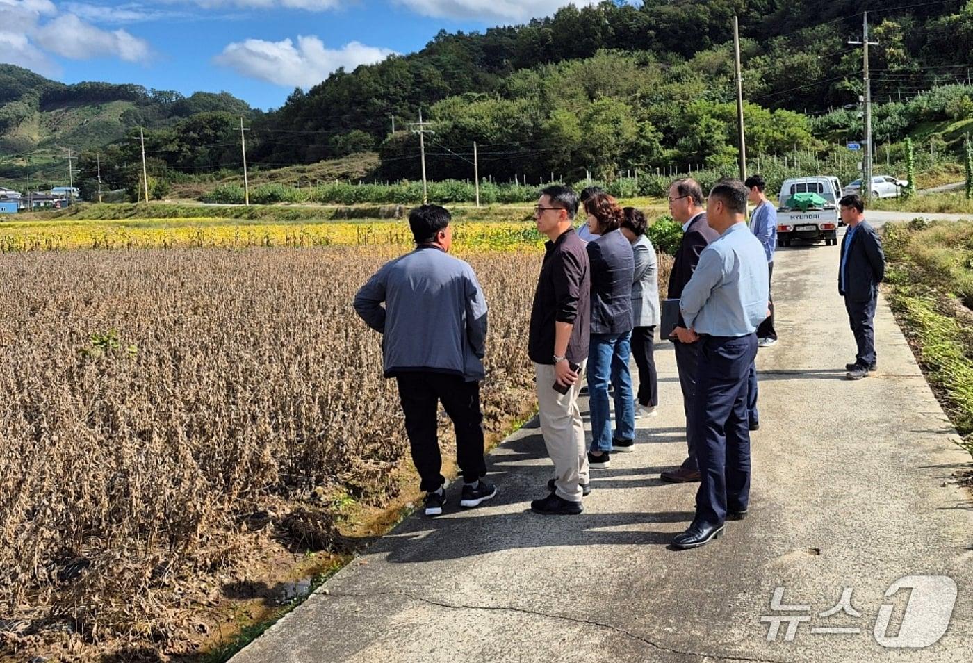 충북 괴산군이 농업재해 피해 현황을 조사하고 있다.(괴산군 제공, 재판매 및 DB금지)/뉴스1