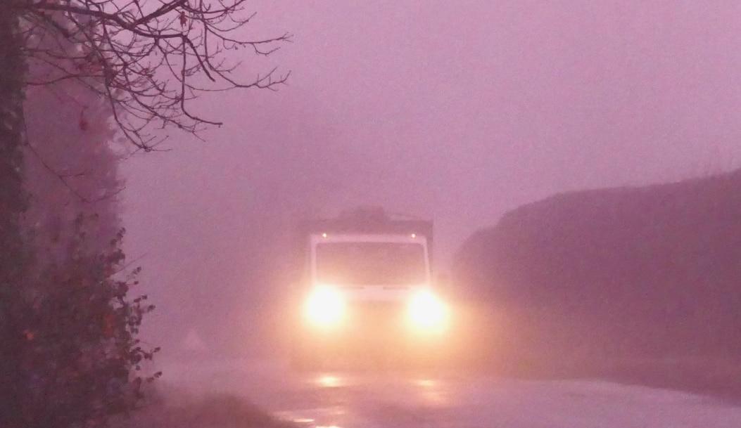 본문 이미지 - 가디언 갈무리