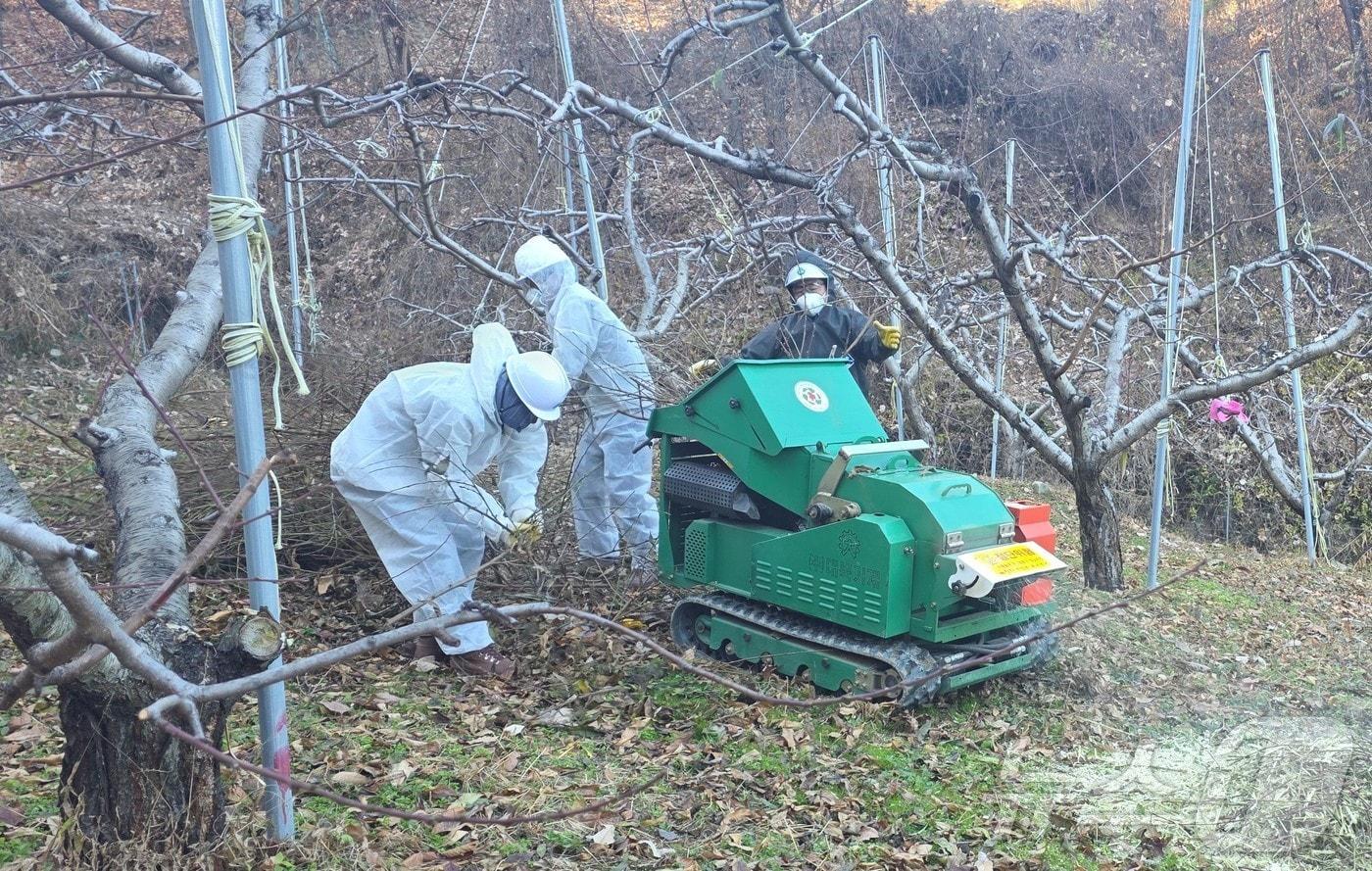 상주시는 20일 2026년 영농부산물 파쇄지원을 본격 추진하기 위해 행정복지센터를 통해 지원 신청을 받고 있다.(상주시 제공. 재판매 및 DB금지) /뉴스1