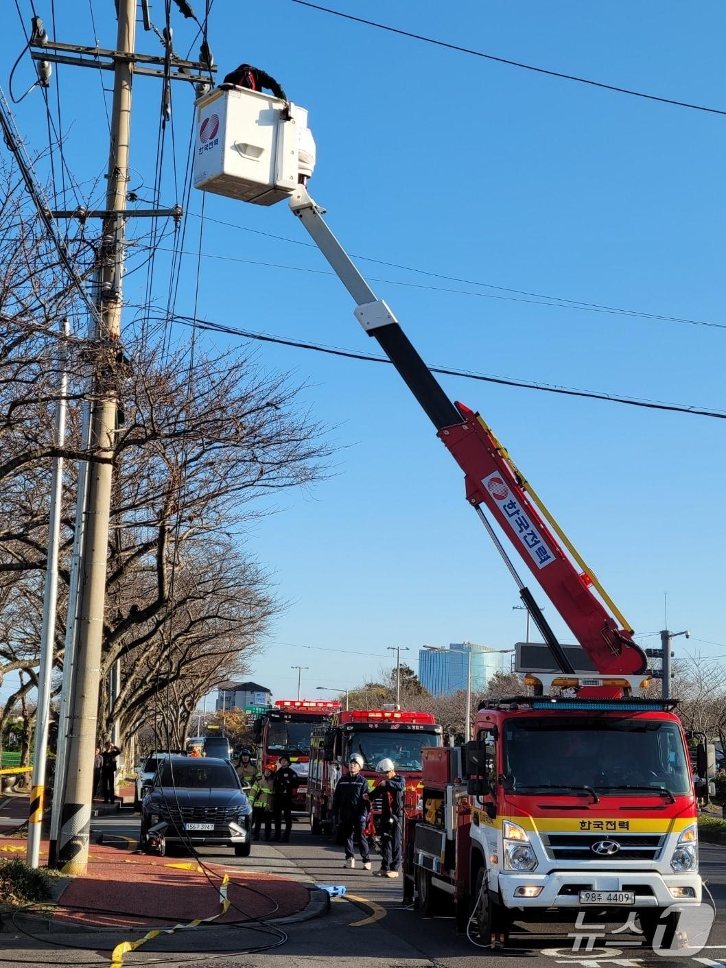 본문 이미지 - 19일 제주시 노형동에서 고압전선이 절단돼 한전이 보수 공사를 하고 있다.(제주도소방안전본부 제공. 재판매 및 DB 금지)