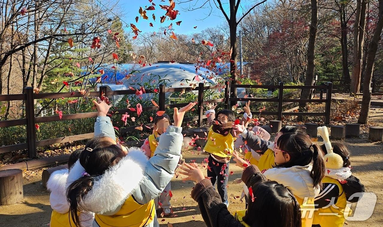 본문 이미지 - 2025년 관악구 유아숲체험원 활동 모습