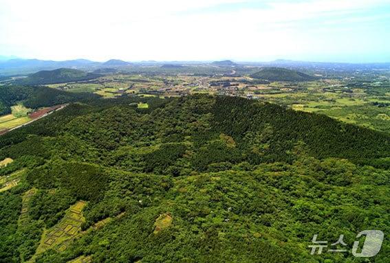 본문 이미지 - 거문오름(제주도 제공. 재판매 및 DB금지)/뉴스1