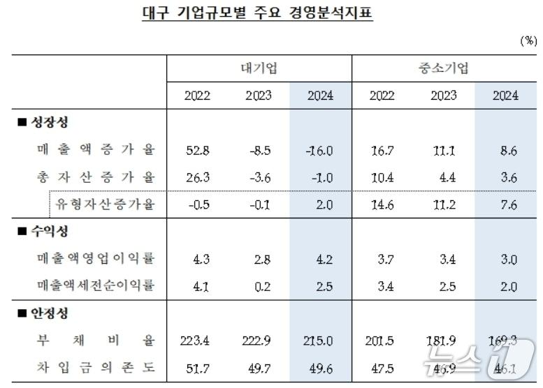 본문 이미지 - 대구 기업규모별 주요 경영분석지표(한국은행 대구경북본부 제공, 재판매 및 DB 금지)