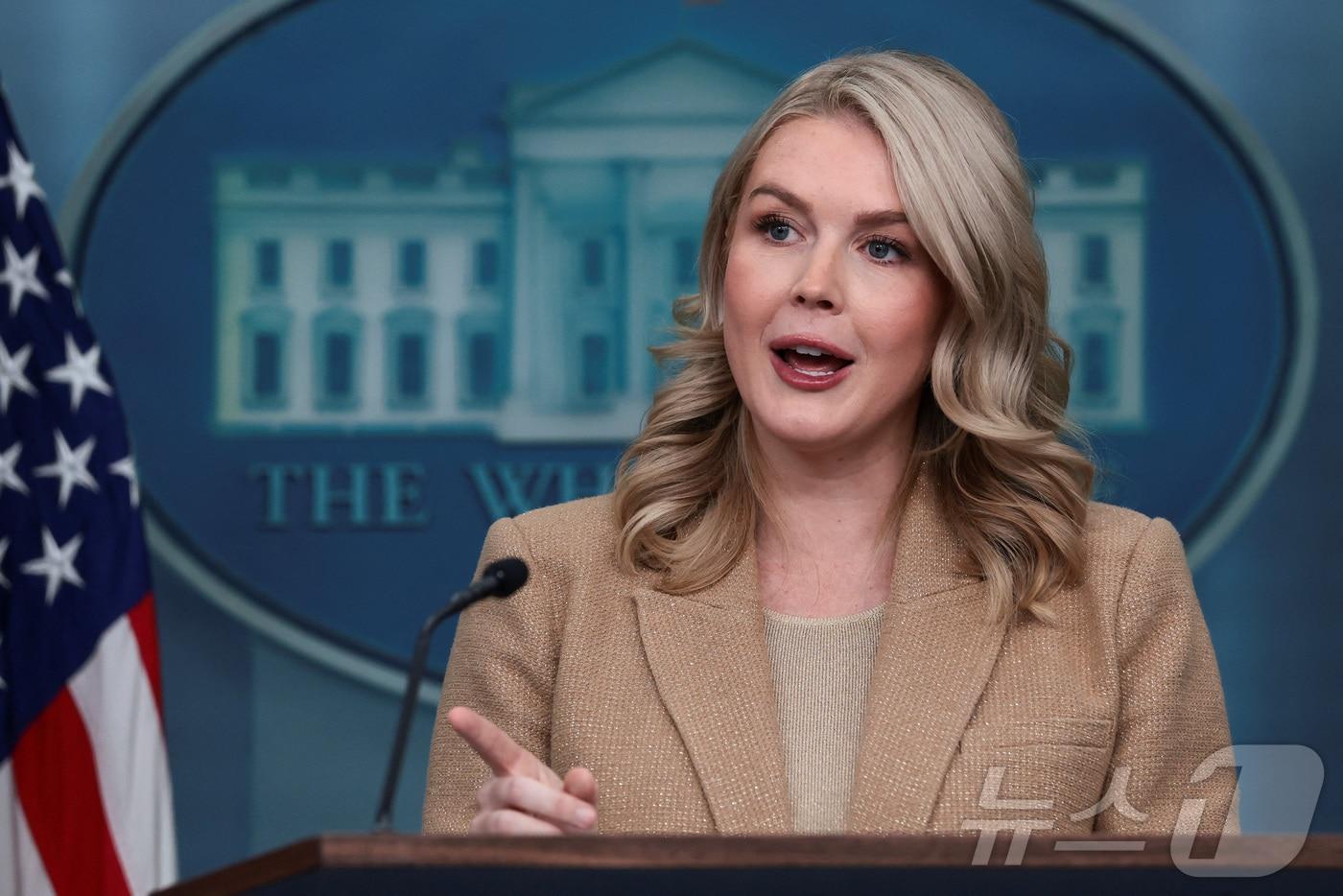 캐롤라인 레빗 백악관 대변인이 1일&#40;현지시간&#41; 워싱턴DC 백악관에서 언론 브리핑을 진행하고 있다. 2025.12.01. ⓒ 로이터=뉴스1 ⓒ News1 류정민 특파원