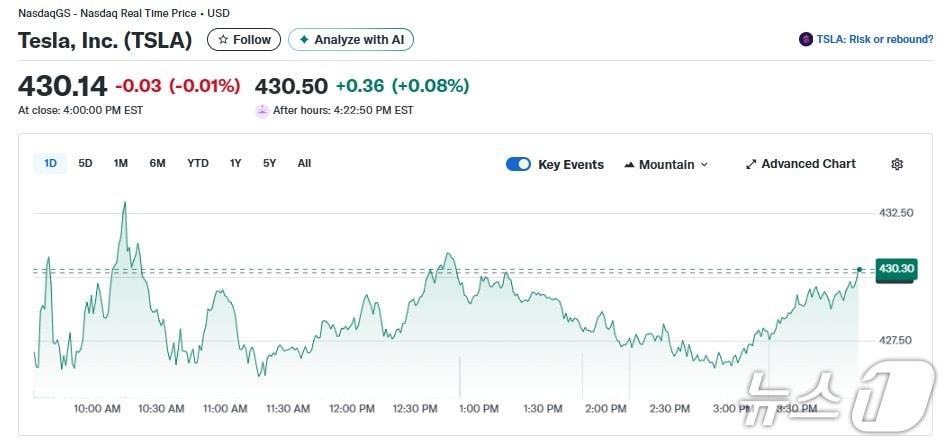 본문 이미지 - 테슬라 일일 주가추이 - 야후 파이낸스 갈무리