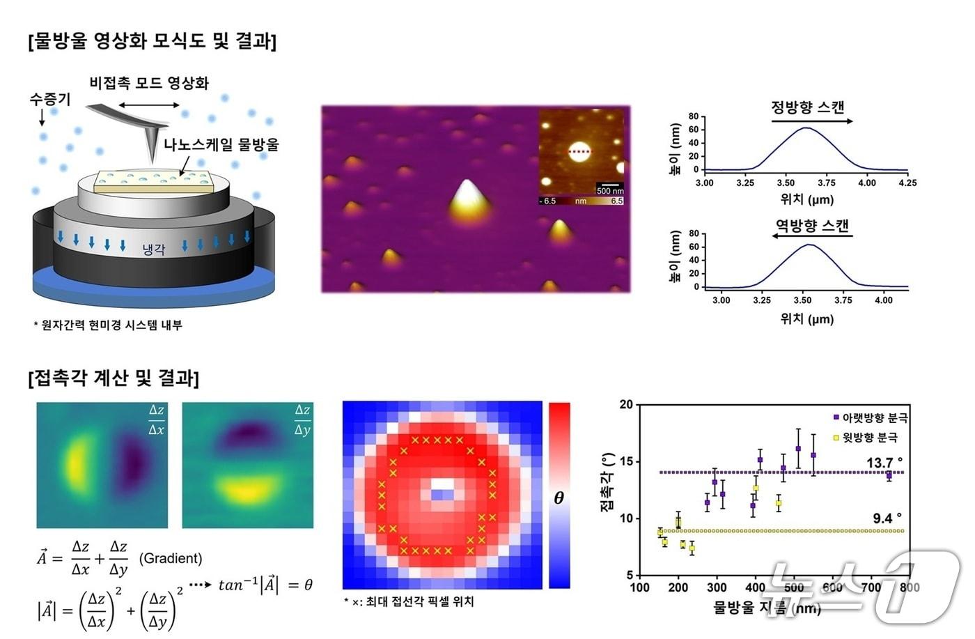 비접촉모드를 활용한 나노 스케일 물방울 영상화&#40;KAIST 제공&#41; /뉴스1