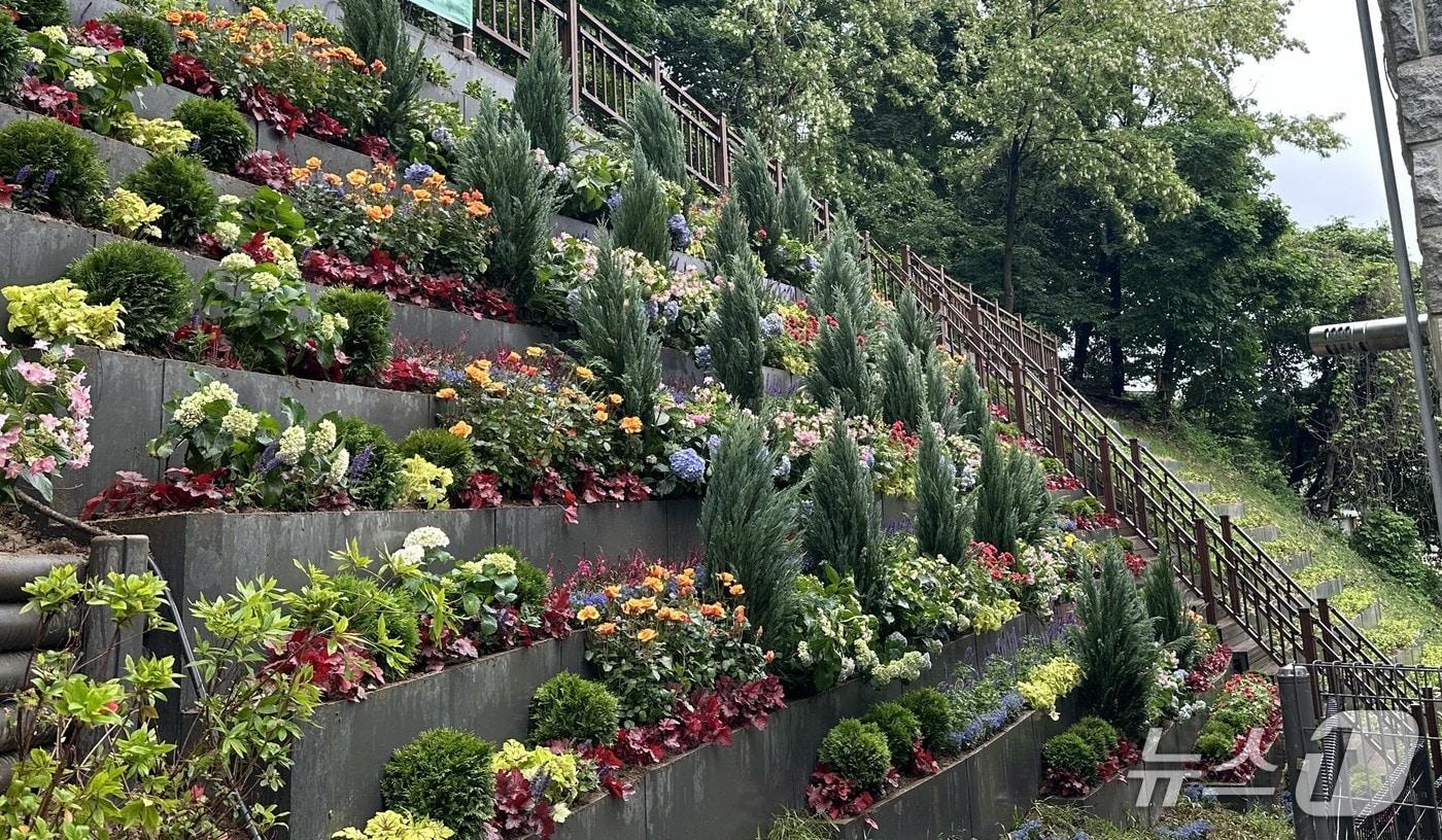서울시는 사방효과 위주의 식물과 주변 자연환경과 조화를 이루는 정원식물을 함께 조성할 예정이다.&#40;서울시 제공&#41;
