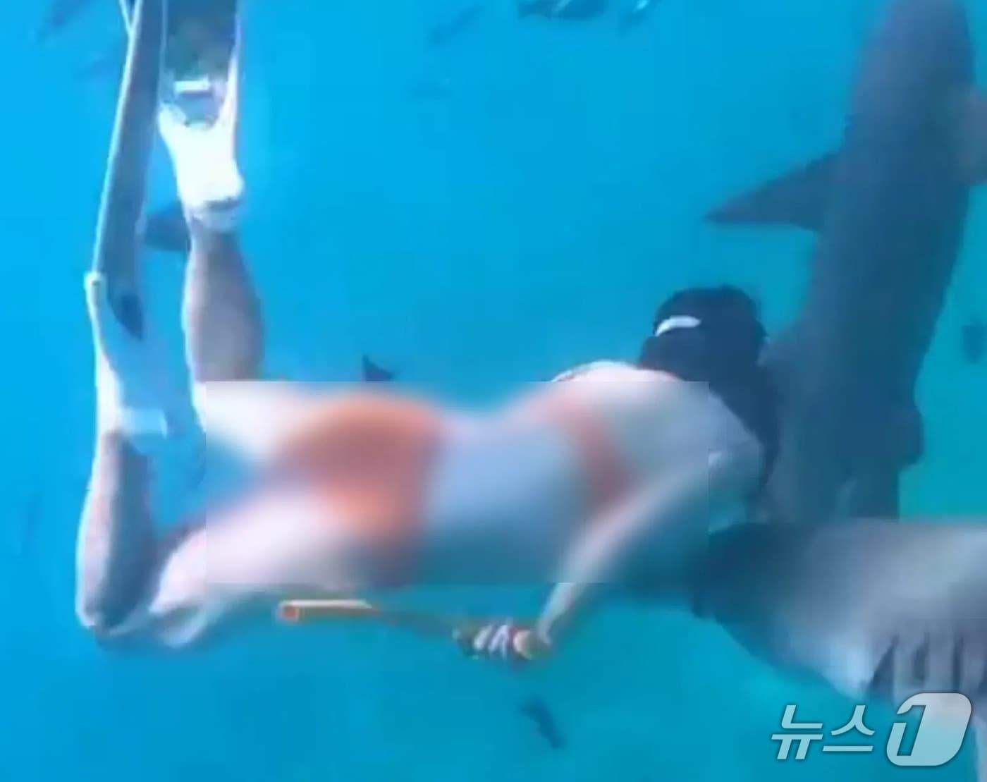 본문 이미지 - (신추데일리 갈무리)