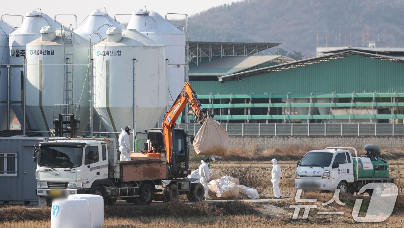2일 경기 평택시 평택시의 한 산란계 농장에서 H5형 조류인플루엔자 항원이 확인돼 방역당국이 통제 및 방역 작업을 하고 있다. 중앙사고수습본부는 조류인플루엔자 확산 방지를 위해 경기도 전역과 평택시와 인접한 충남 천안·아산시의 산란계 관련 농장, 축산시설, 축산차량 등에 대해 이날 0시부터 24시간 동안 일시 이동중지 명령을 내렸다. 2025.12.2/뉴스1 ⓒ News1 김영운 기자