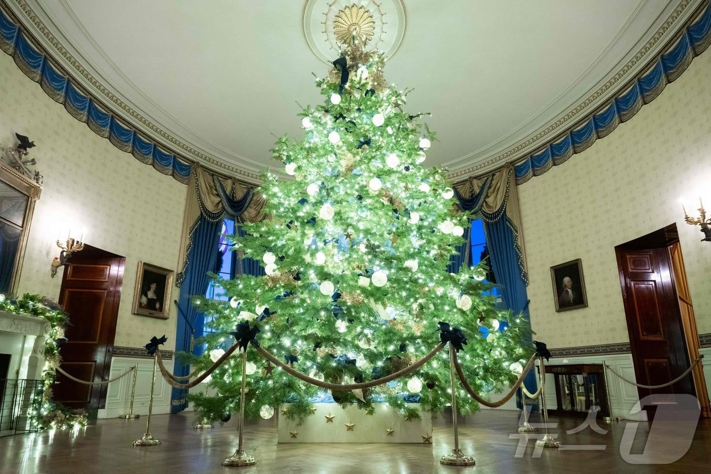 2025년 12월 1일 워싱턴 D.C. 백악관 블루룸에서 열린 크리스마스 장식 언론 투어 행사에 전시된 백악관 크리스마스 트리. 2025.12.01. ⓒ AFP=뉴스1