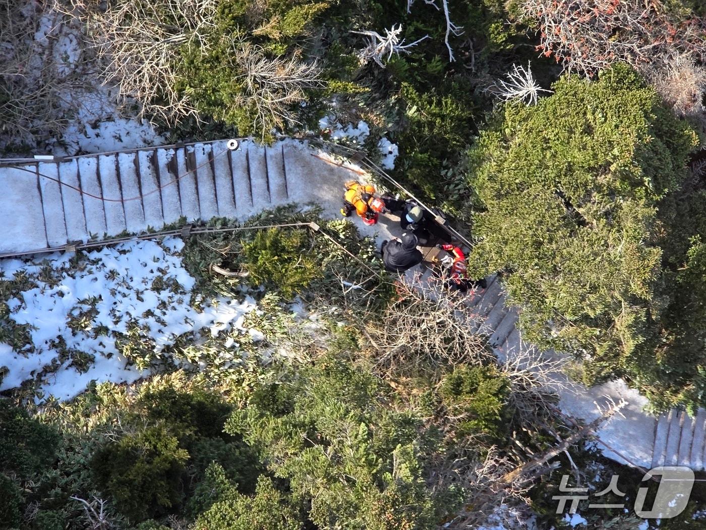 본문 이미지 - 2일 오후 제주 한라산 관음사코스에서 119구급대원들이 발목을 다친 등반객을 구조하고 있는 모습.(제주도소방안전본부 제공. 재판매 및 DB 금지)