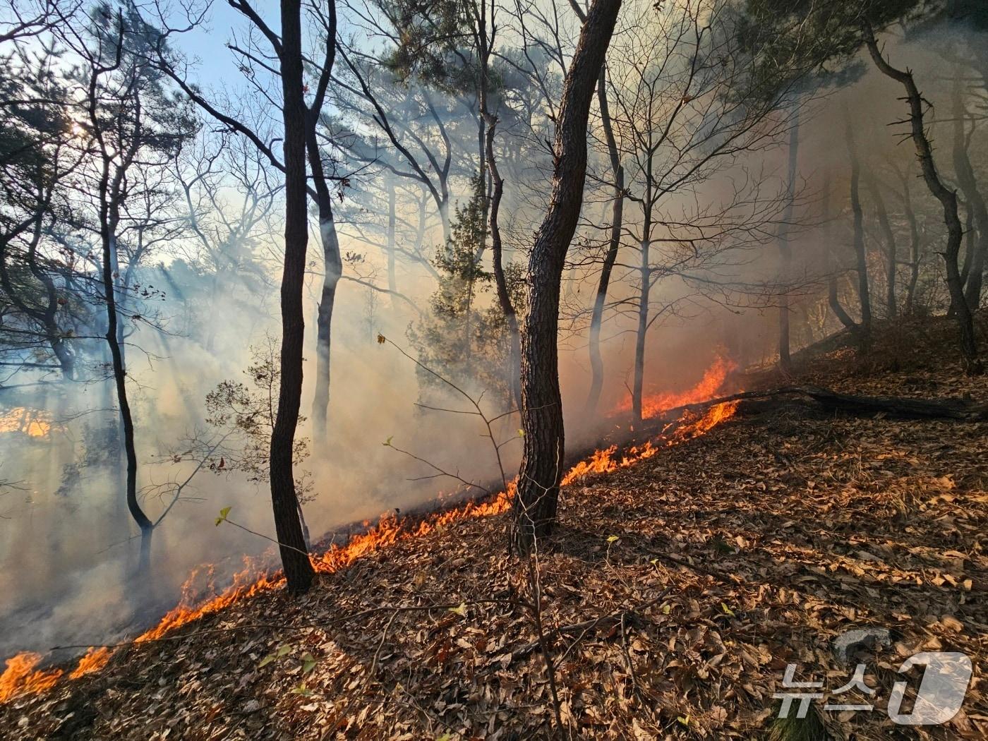 본문 이미지 - 화재현장&#40;인천소방본부 제공/뉴스1&#41;
