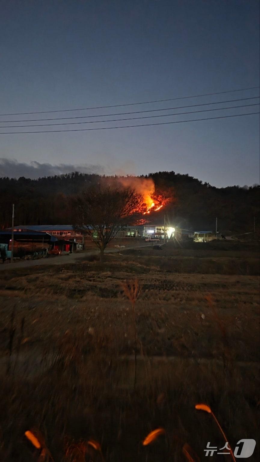 본문 이미지 -  청양 정산면 해남리 산불 현장. &#40;산림청 제공, 재판매 및 DB금지&#41; / 뉴스1