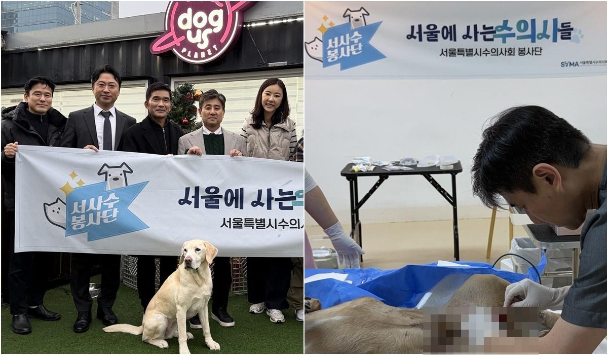 본문 이미지 - 서울시수의사회는 16일 도그어스플래닛을 방문해 번식장에서 구조된 30여 마리 구조견을 대상으로 봉사활동을 했다(수의사회 제공). 