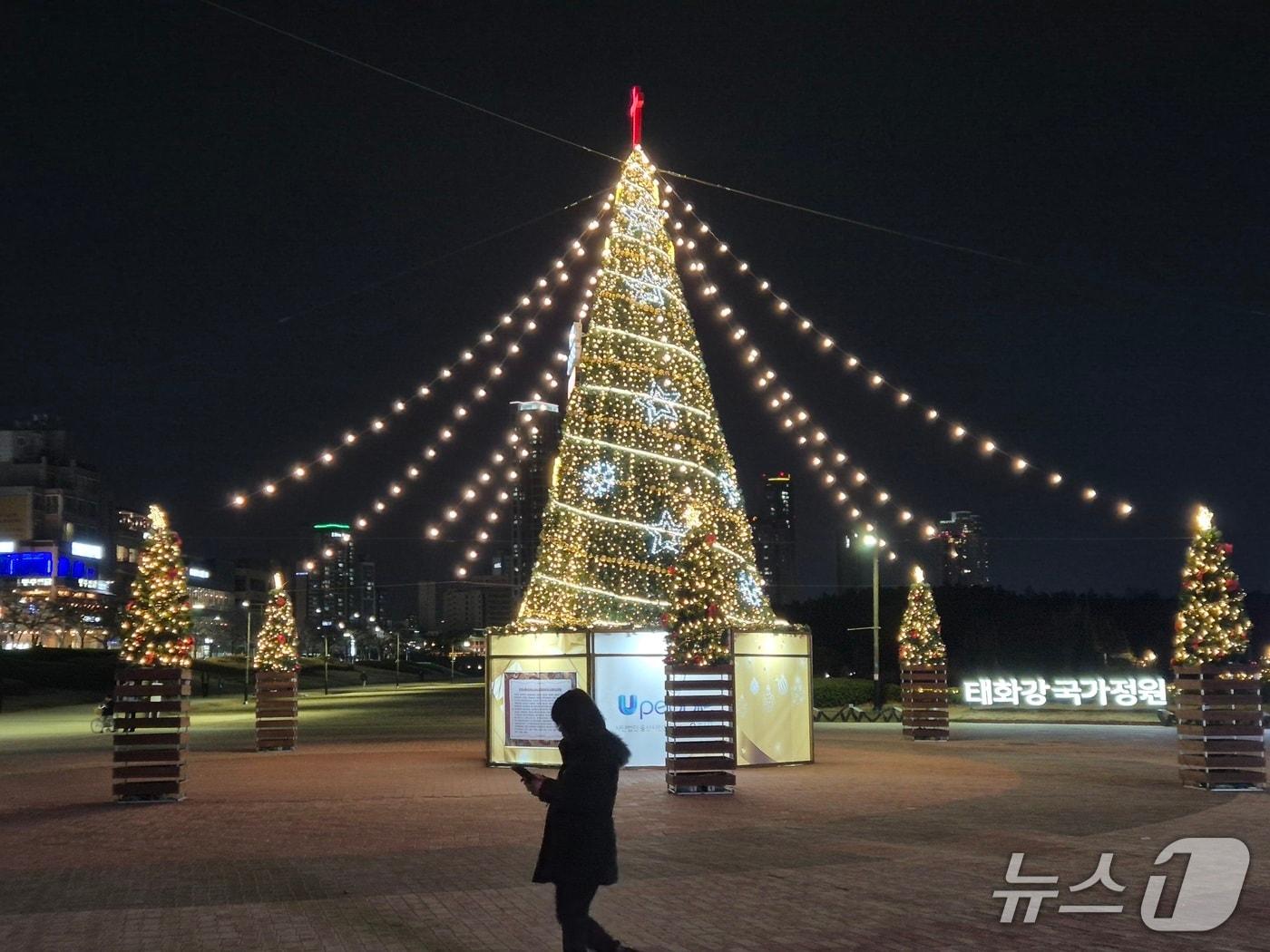 본문 이미지 - 20일 울산 중구 태화강 국가정원에서 한 시민이 크리스마스 트리 앞을 지나고 있다. 2025.12.20/뉴스1ⓒ 뉴스1 박정현 기자