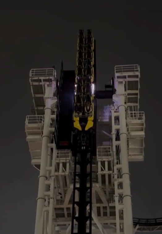 본문 이미지 - (출처=소셜미디어 엑스(X))