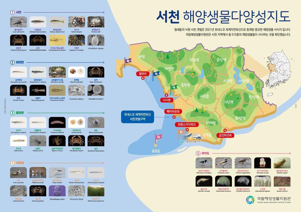 본문 이미지 - '서천 해양생물 다양성지도'.(국립해양생물자원관 제공. 재판매 및 DB금지)/뉴스1