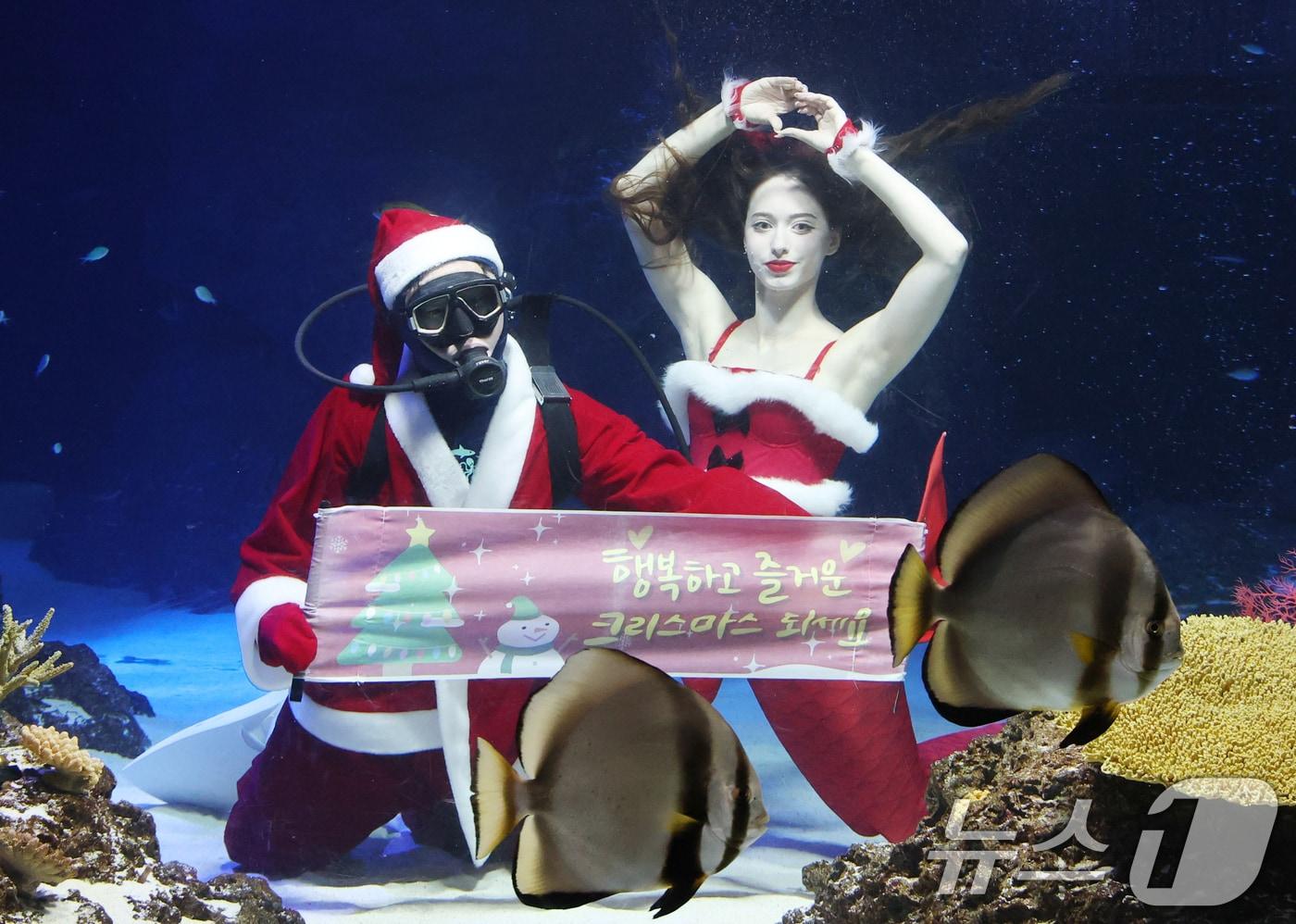 크리스마스를 사흘 앞둔 22일 경기 수원시 영통구 아쿠아플라넷 광교에서 산타 의상을 입은 아쿠아리스트들이 크리스마스 인사를 하고 있다. 2025.12.22/뉴스1 ⓒ News1 김영운 기자