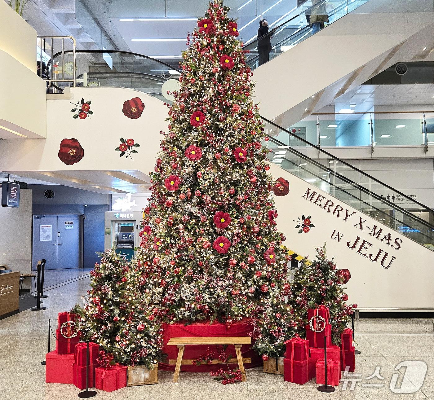 본문 이미지 - 제주국제공항 1층에 설치된 크리스마스 트리.(한국공항공사 제주공항 제공, 재판매 및 DB 금지)