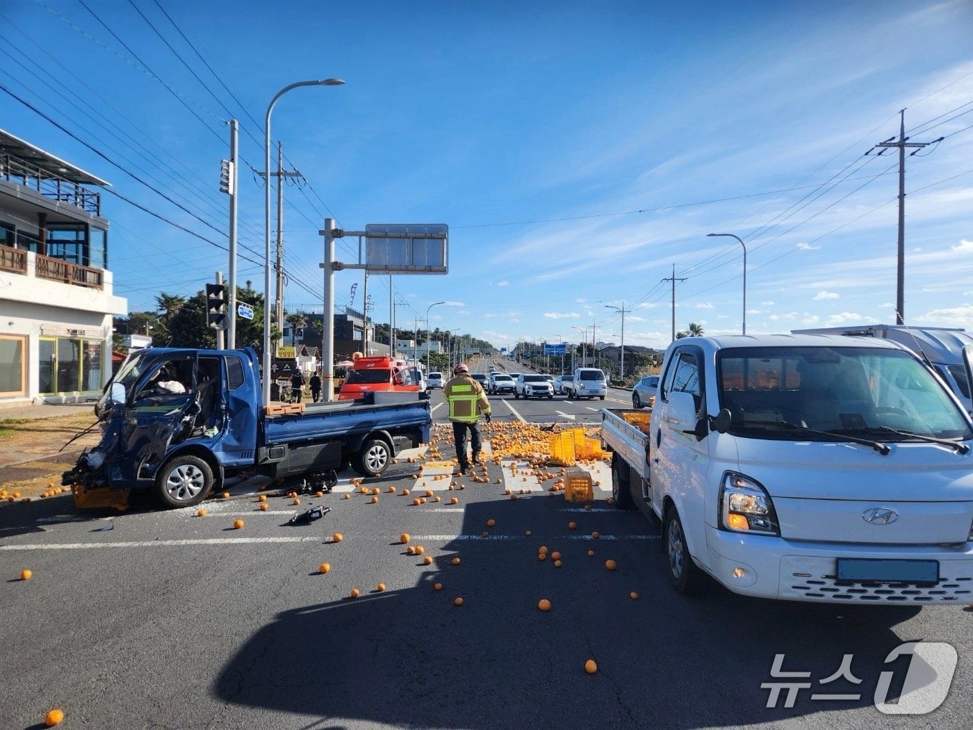 본문 이미지 - 22일 제주 서귀포시 표선면에서 트럭 2대가 충돌했다.(제주도소방안전본부 제공. 재판매 및 DB 금지)