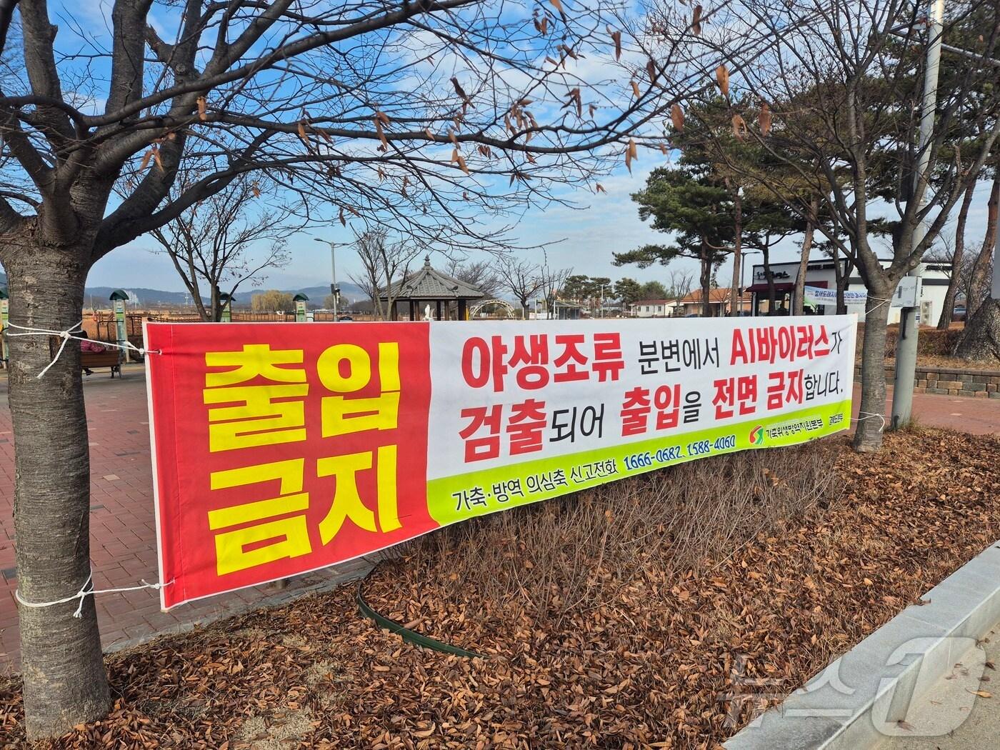 본문 이미지 - 경북도는 19일 봉화군의 한 산란계 농장에서 고병원성 조류인플루엔자(AI) H5N1형이 추가 확인됨에 따라 긴급 대응에 나섰다.(경북도 제공. 재판매 및 DB금지) ⓒ 뉴스1