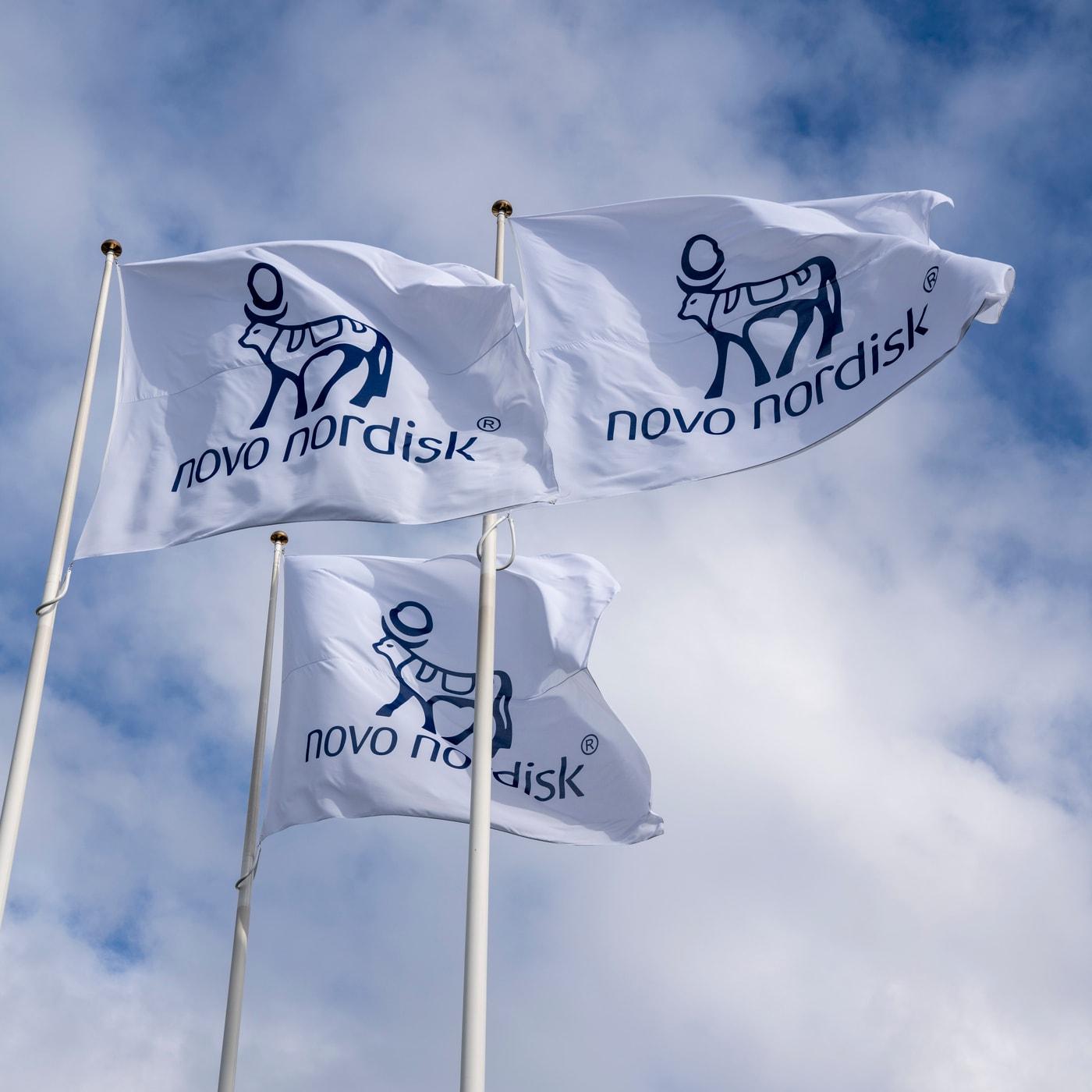 본문 이미지 - 노보 노디스크.