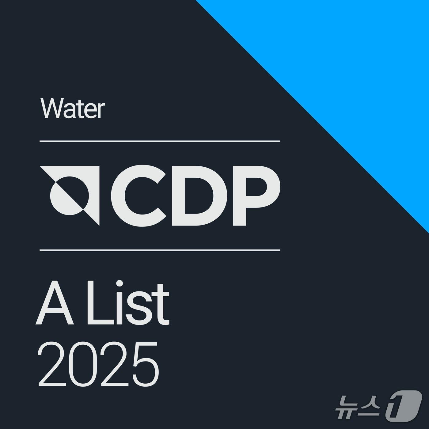 본문 이미지 - CDP 수자원 관리 분야 A등급 획득 인증서(롯데정밀화학 제공)