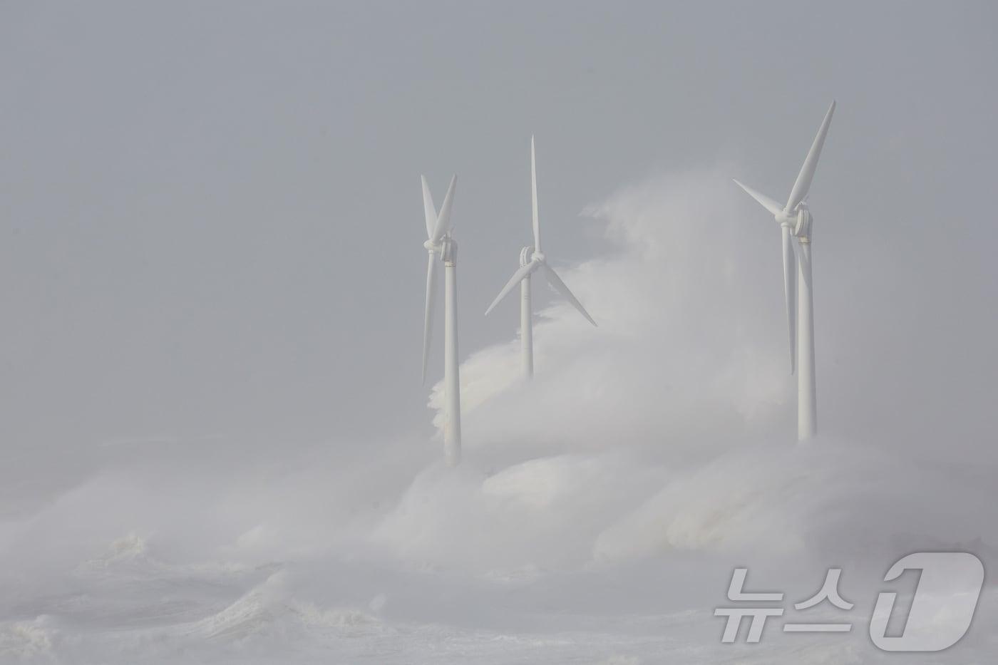 기사와 직접 관계 없는 자료사진. ⓒ 로이터=뉴스1