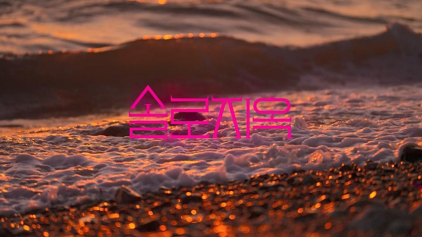 넷플릭스 '솔로지옥5'