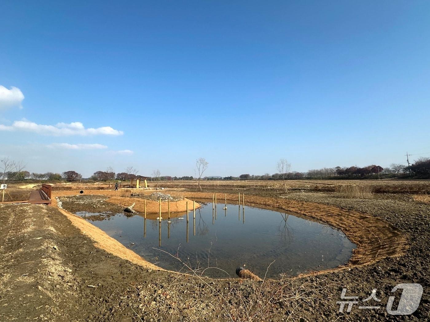 본문 이미지 - 김제 벽골제 생태농경원 내 생태습지.(김제시 제공, 재판매 및 DB 금지)