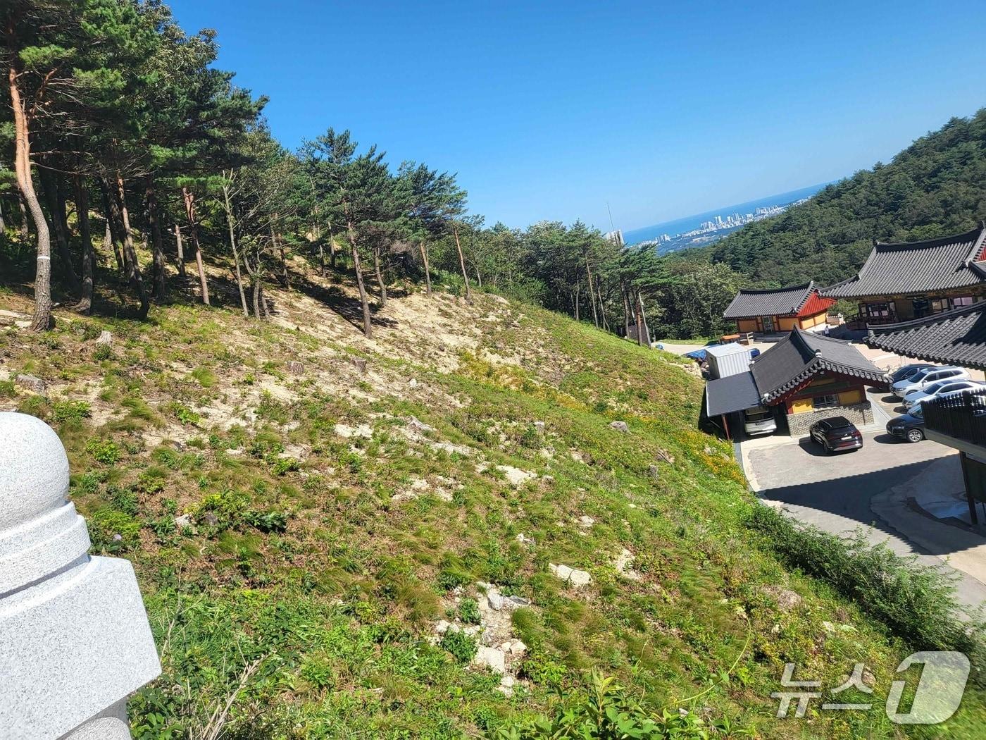 본문 이미지 - 산불 피해 예방을 위한 화암사 건축물 주변 입목 벌채 사례(산림청 제공.재판매 및 DB금지)/뉴스1