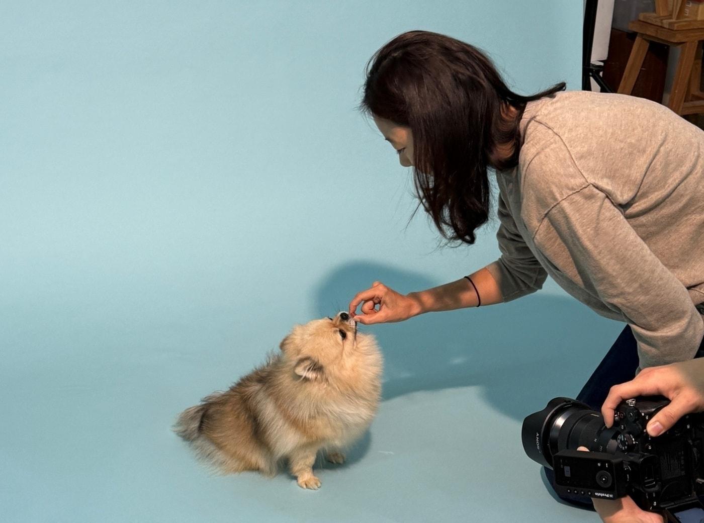 본문 이미지 - 네츄럴코어는 구조동물의 건강한 일상과 입양을 지원하는 맘마 투 게더 캠페인을 진행한다. 사진은 구조견이 모델 촬영을 하고 있는 모습(네츄럴코어 제공) ⓒ 뉴스1
