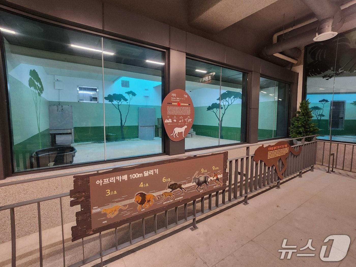 본문 이미지 - 재개관을 준비하는 제3아프리카관 모습