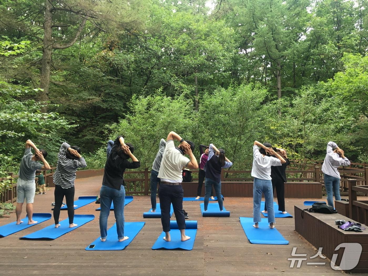 본문 이미지 - 국립산림치유원 국가 재난 피해자 대상 산림치유프로그램 운영  (산림청 한국산림복지진흥원 제공.재판매 및 DB금지)/뉴스1 