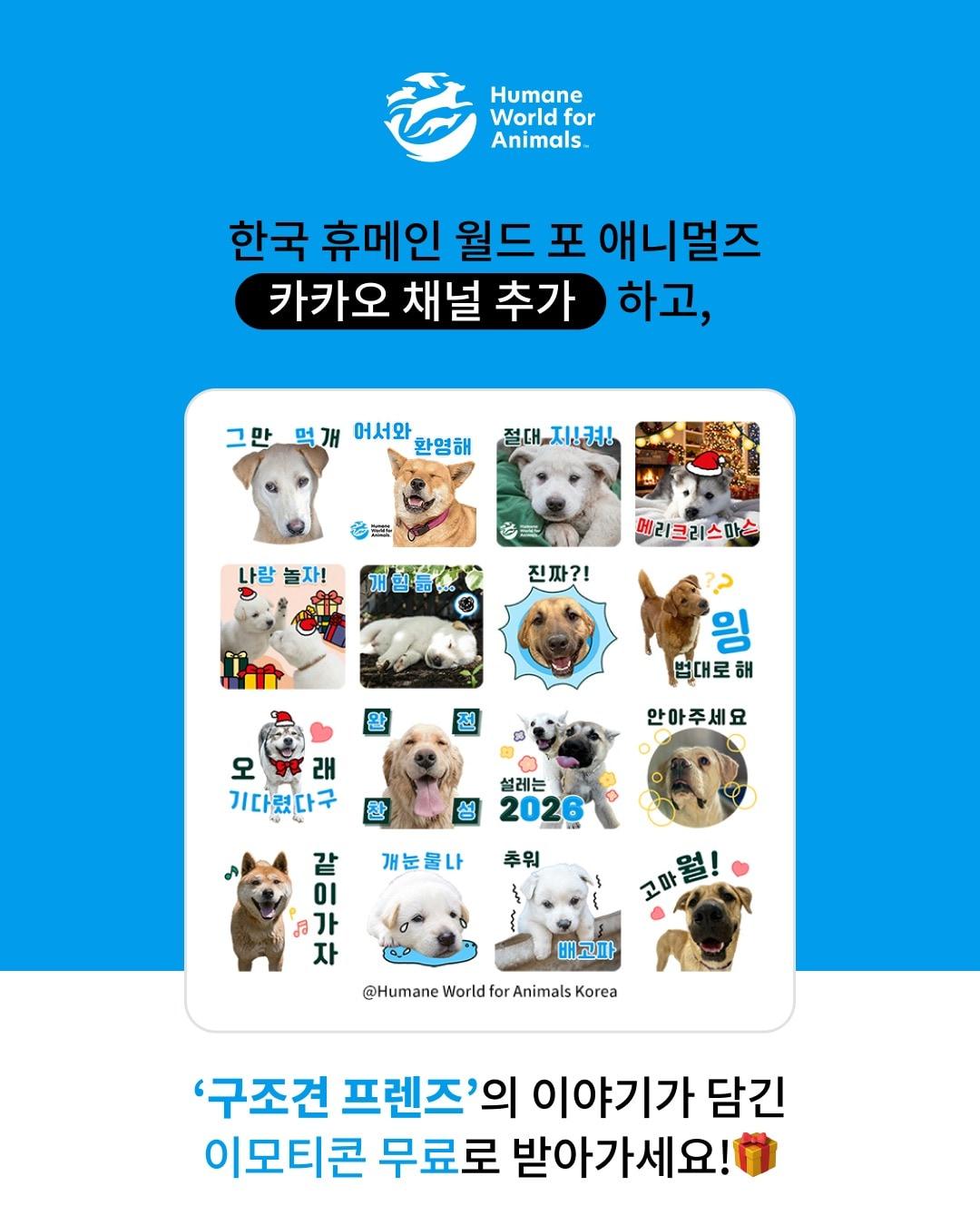 본문 이미지 - 한국 휴메인 월드 포 애니멀즈가 24일부터 한 달간 개 농장에서 구조된 개들의 실제 사진으로 제작한 '구조견 프렌즈' 카카오톡 이모티콘 캠페인을 진행한다(단체 제공). ⓒ 뉴스1