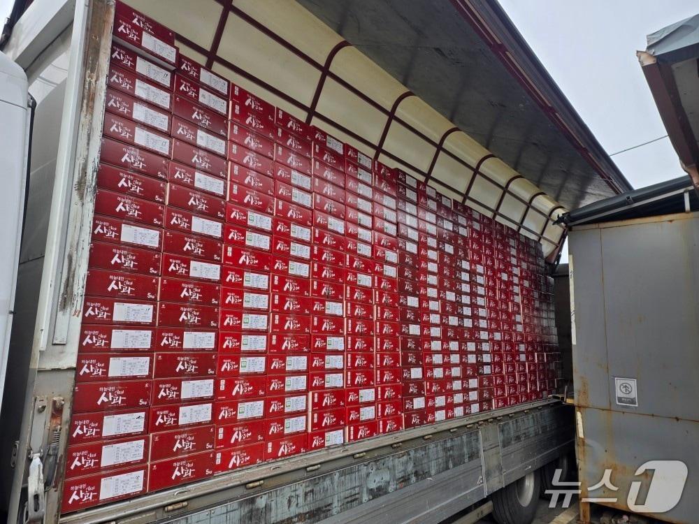 본문 이미지 - 인제사과(인제군 제공. 재판매 및 DB금지)/뉴스1