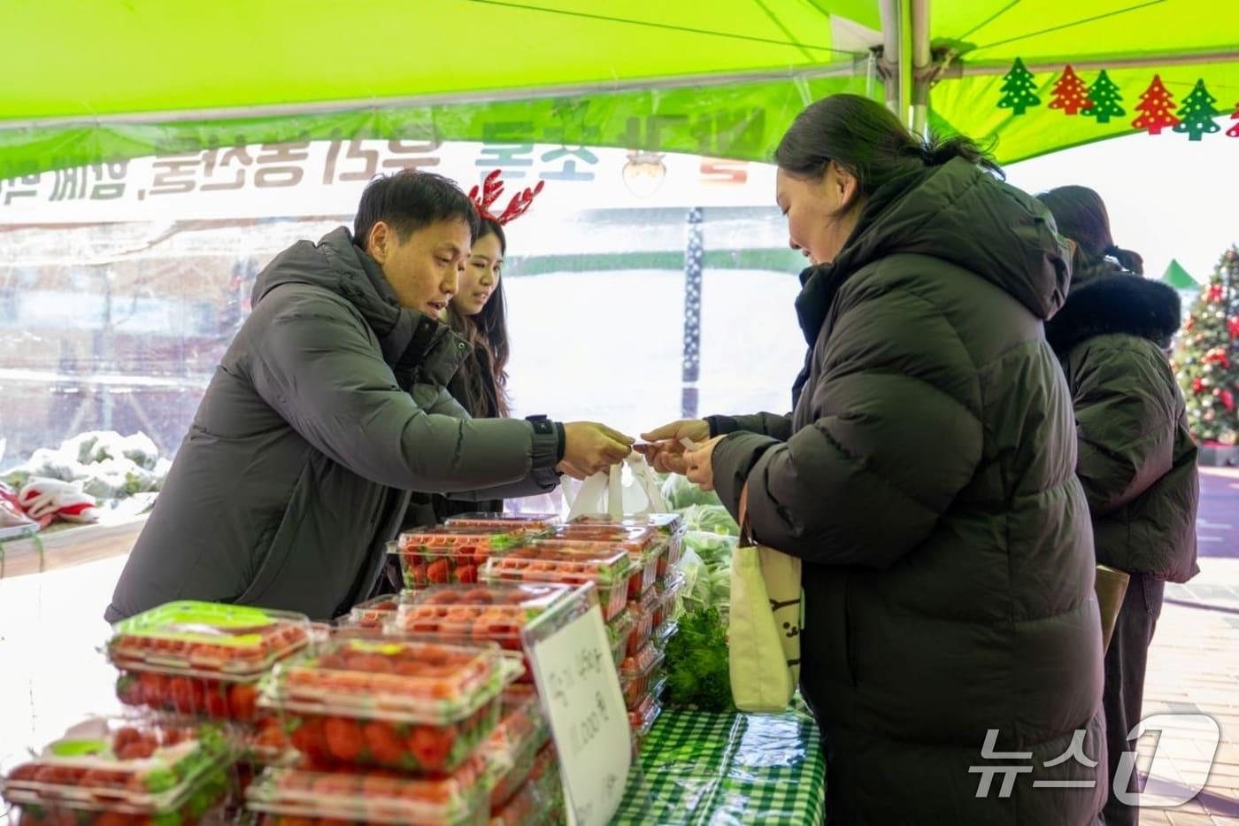 충북 증평군은 25일 34플러스센터 광장에서 특색있는 로컬 행사 '삼삼(蔘蔘)한 빨강 초록 마켓'을 개최했다.(증평군 제공, 재판매 및 DB금지)/뉴스1