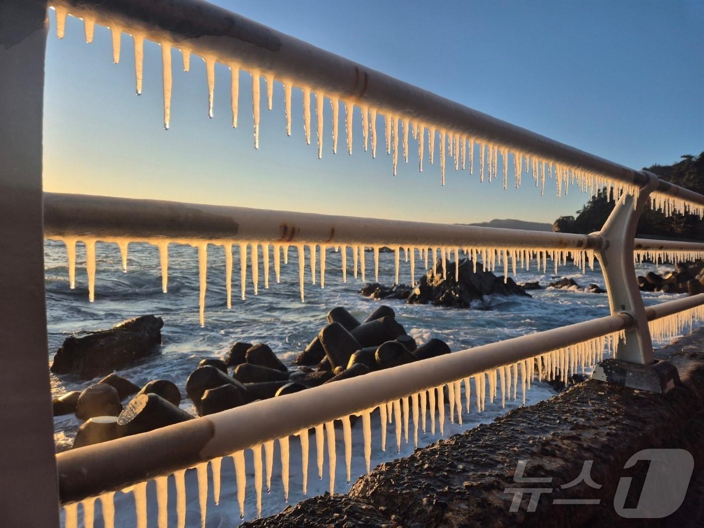 본문 이미지 - 강원 대부분 지역에 한파특보가 발효된 26일 동해안 대표 해안도로인 강릉시 강동면 심곡~금진 구간 헌화로 난간에 고드름이 매달려 있다. 2025.12.26/뉴스1 ⓒ News1 윤왕근 기자
