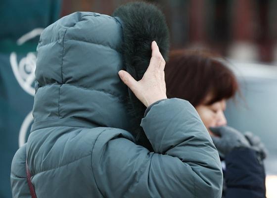 본문 이미지 - 자료사진/뉴스1