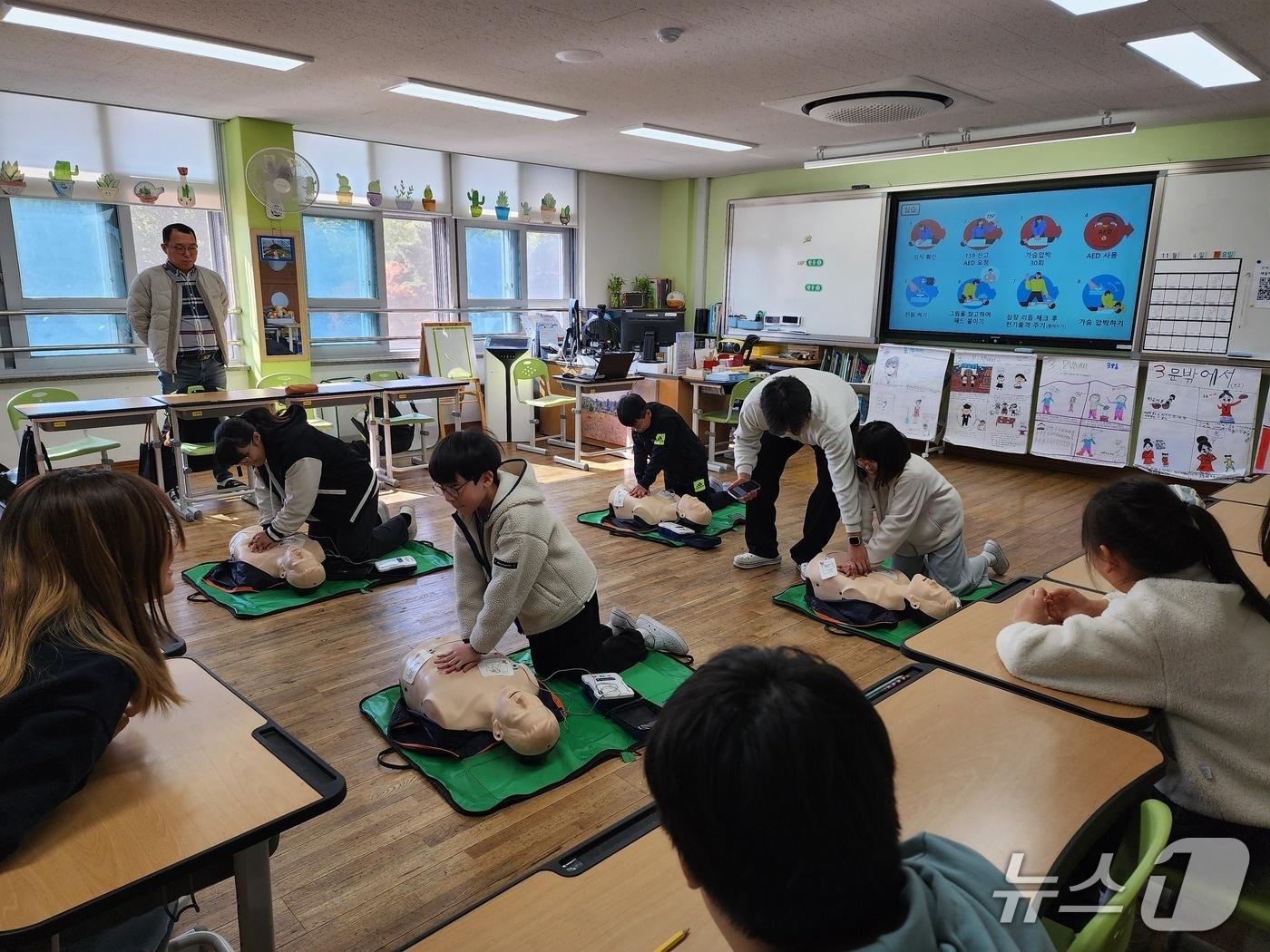 본문 이미지 - 대전학생해양수련원 학생 구급 교육(대전시교육청 제공) /뉴스1
