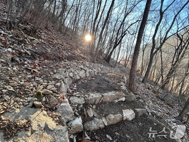 본문 이미지 - 금산산림문화타운 내 대화의 숲길  (금산군 제공.재판매 및 DB금지)/뉴스1