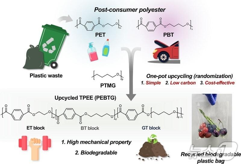 본문 이미지 - 업사이클링 전략을 통한 생분해성 고성능 플라스틱 개발. (서강대 제공) 