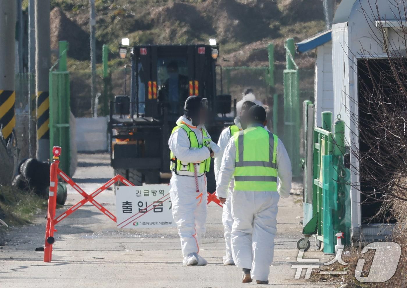 자료사진./뉴스1